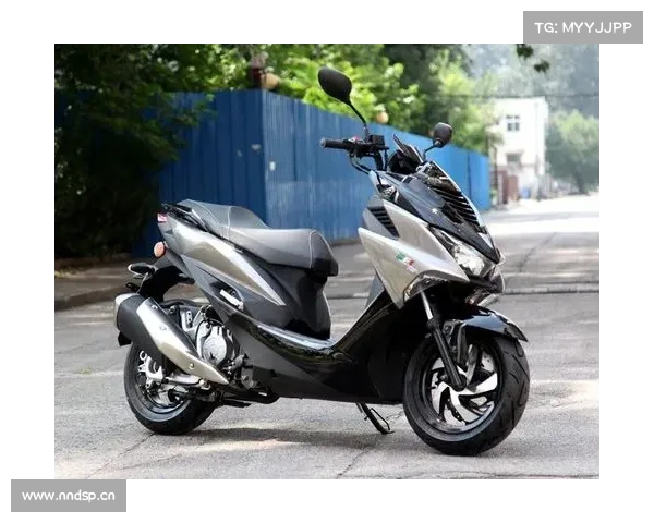 仿生学的典范 金城 草蜢150 仿生学的典范 金城 草蜢150